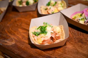 Closeup of a corn tortilla taco.