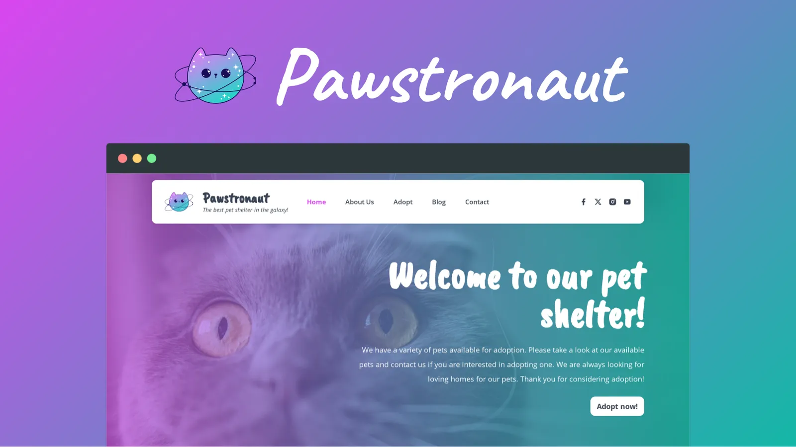 A space-themed cat logo and tagline: the best pet shelter in the galaxy against a purple, blue and green gradiant background. Includes a screenshot of a home page with a close up of a cat's face as a background image, a short introduction to the shelter and an Adopt Now! button